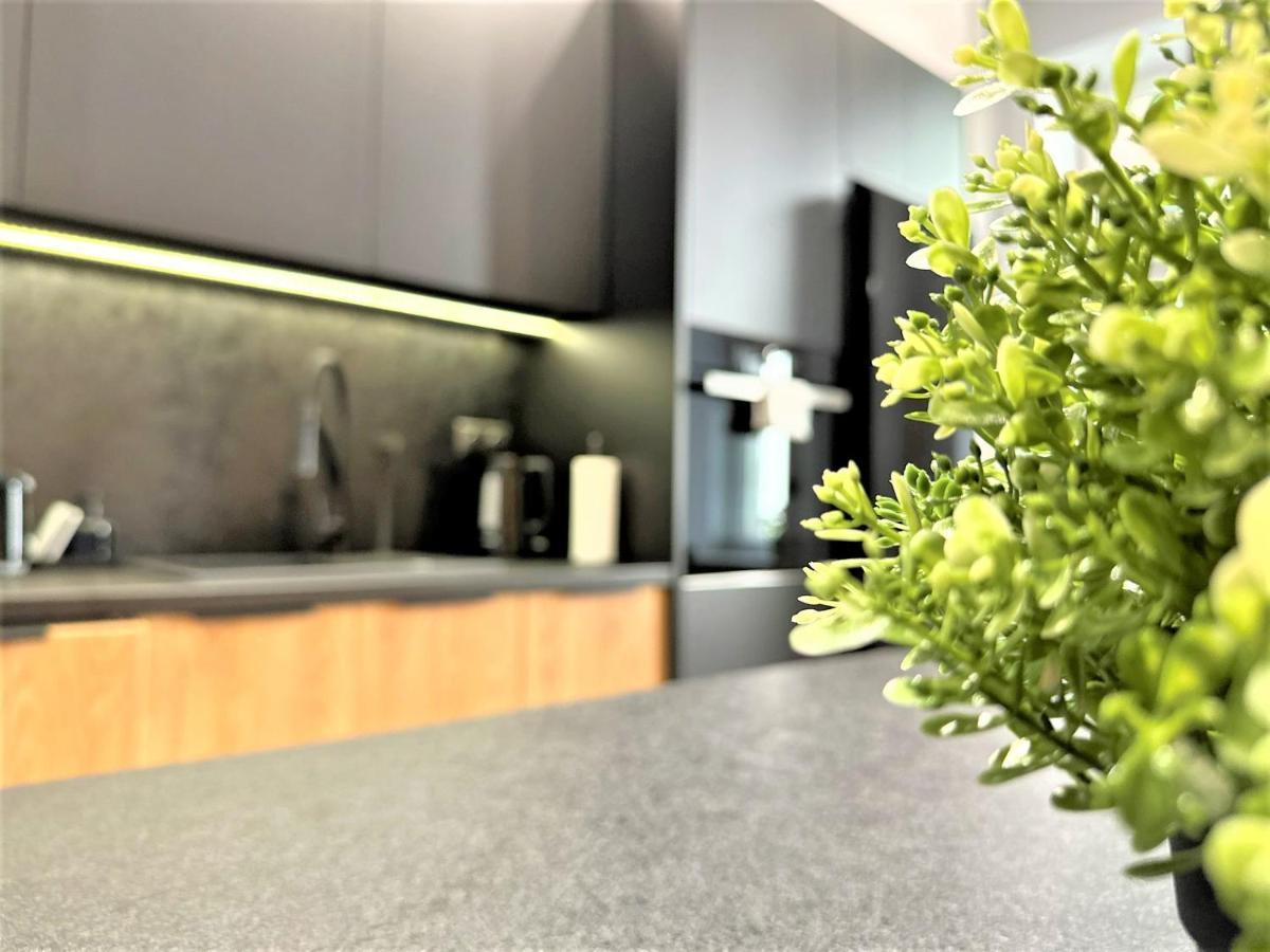 Luxury 100M2 Loft Design-Apartment At Wawel + Netflix كراكوفيا المظهر الخارجي الصورة